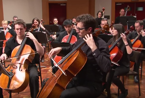 cellos in an orchestral concert