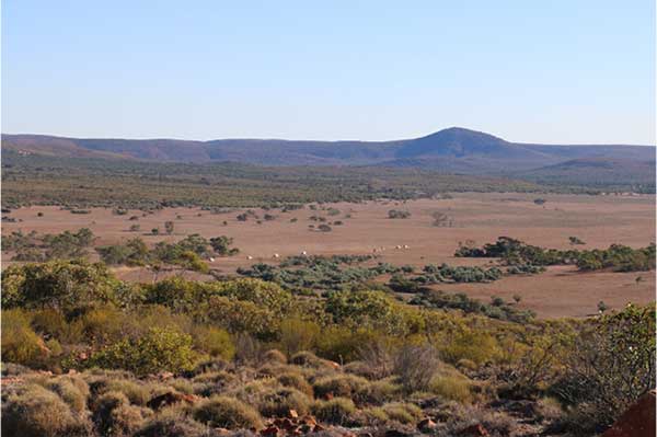 Gawler Ranges in South Australia lookout view View