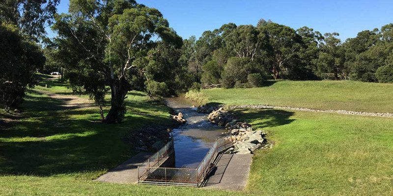 Dandenong Creek in Rowville, Victoria
